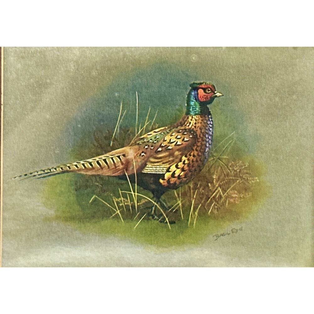 Vintage Basil Ede The Pheasant Foil Art Signed Framed Game Bird 12.5x11 - Picture 4 of 8